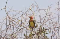 Sabache Camp - Mount Ololokwe